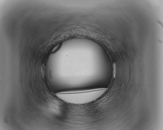 X0000099441491200805090736