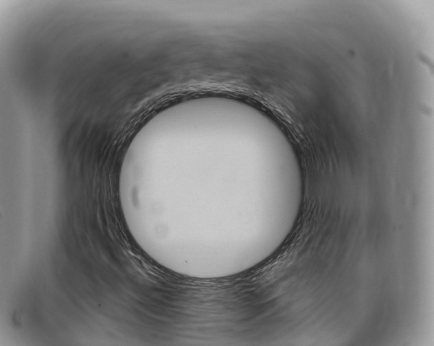 X0000099441492200805090736