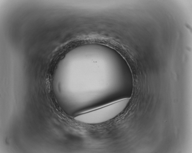 X0000099441493200805090736