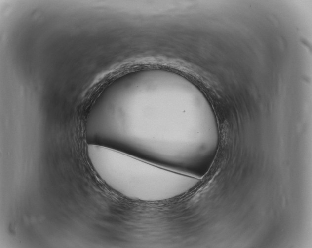 X0000099441494200805090736