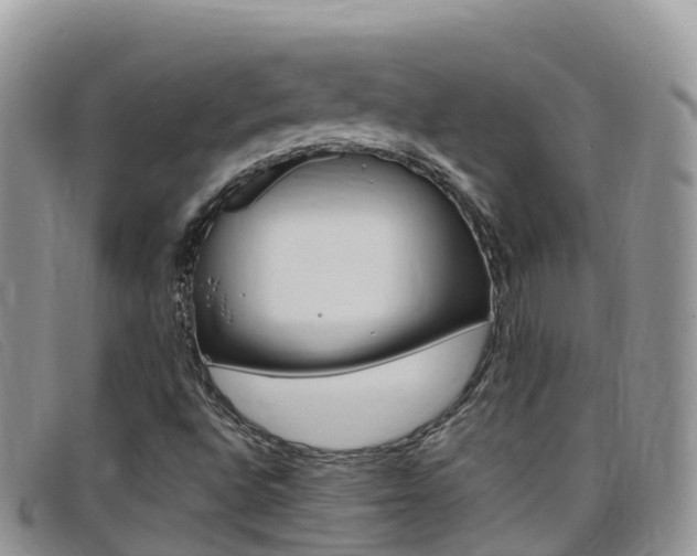 X0000099441496200805090737