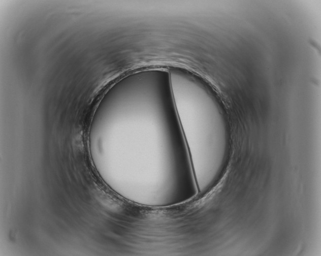 X0000099441497200805090737