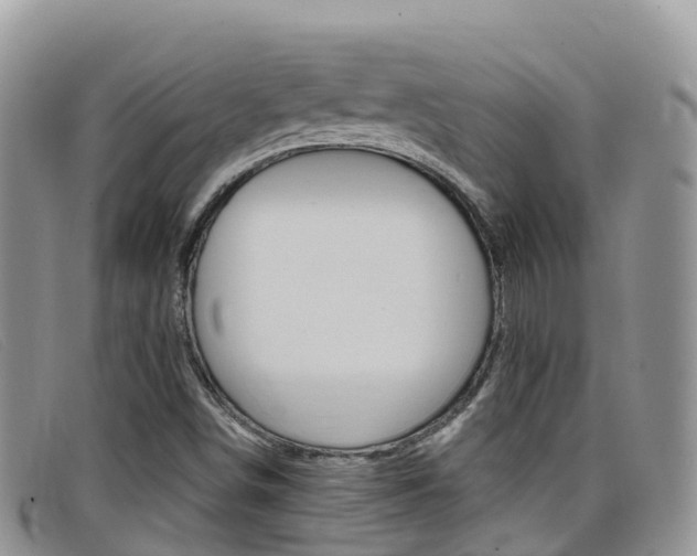 X0000099441498200805090737
