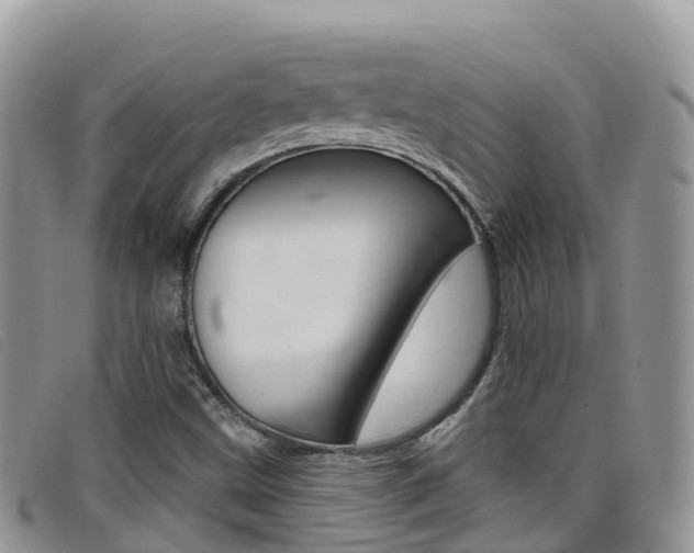 X0000099441499200805090737