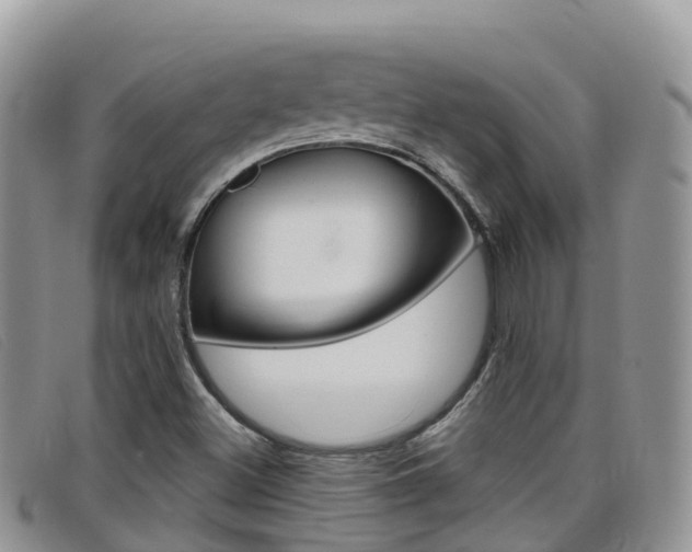 X0000099441500200805090737