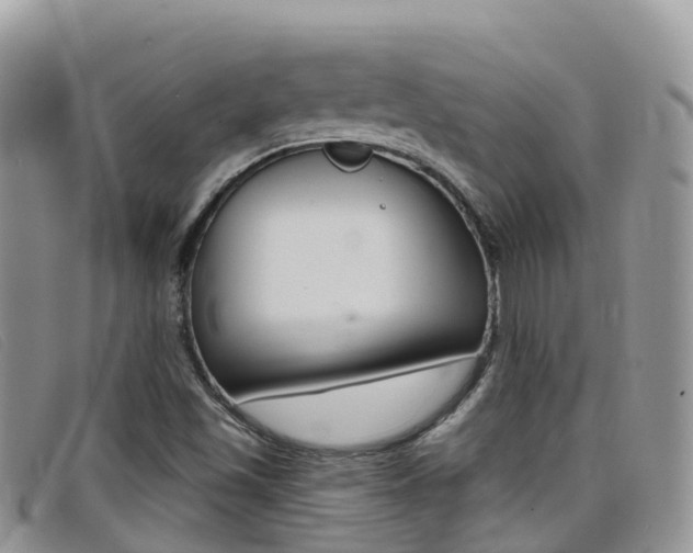 X0000099441501200805090737