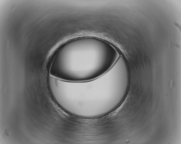 X0000099441502200805090737