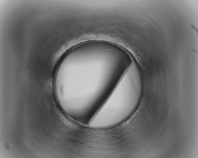 X0000099441503200805090737