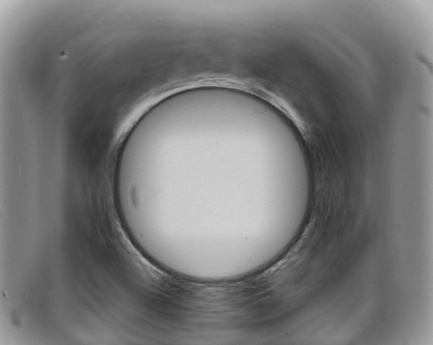 X0000099441504200805090737
