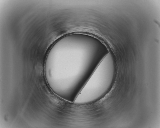 X0000099441505200805090737