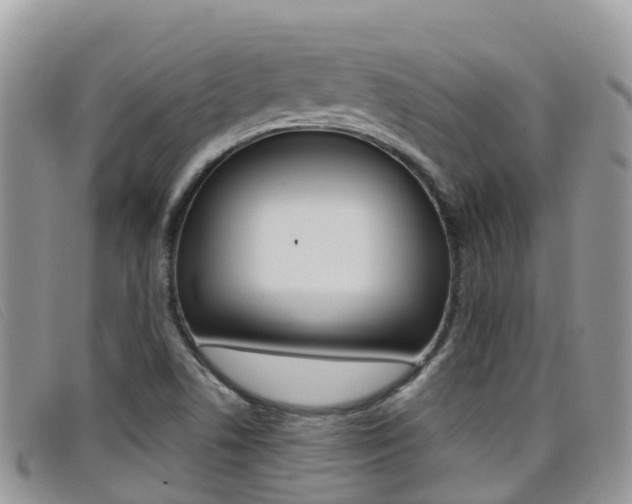 X0000099441506200805090737