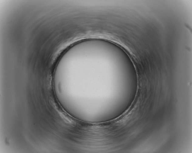 X0000099441507200805090737