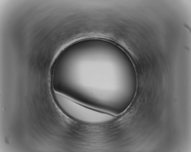X0000099441508200805090737