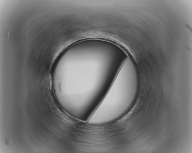 X0000099441509200805090737