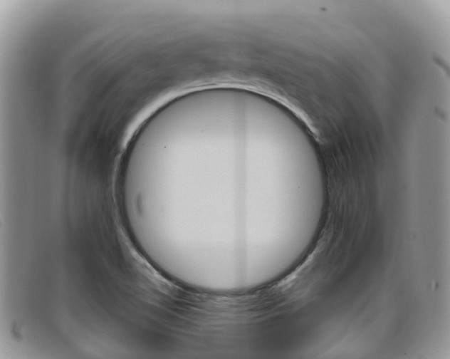 X0000099441510200805090737