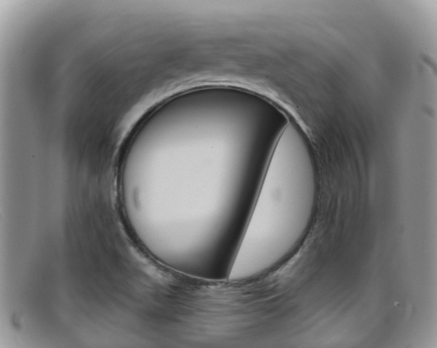 X0000099441511200805090737