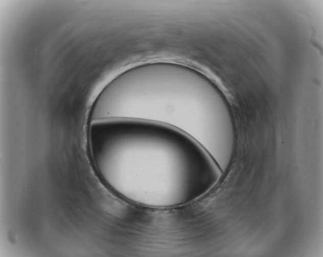 X0000099441512200805090737