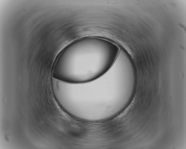 X0000099441513200805090737