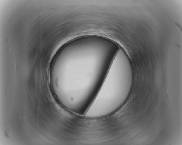 X0000099441515200805090737