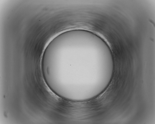 X0000099441516200805090737