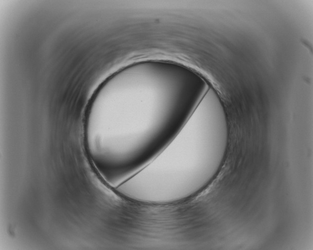 X0000099441518200805090737