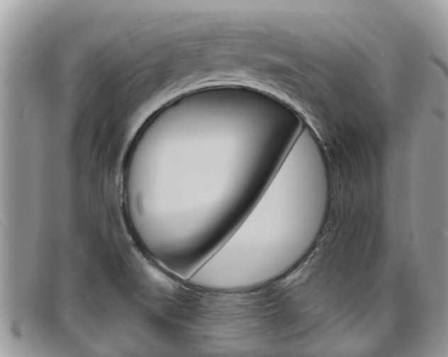 X0000099441519200805090737