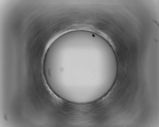 X0000099441520200805090737