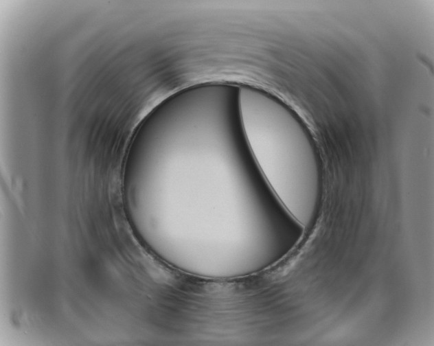X0000099441521200805090737