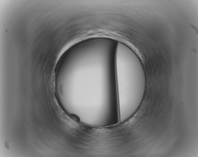X0000099441522200805090737