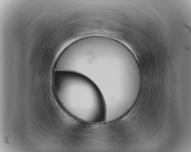 X0000099441523200805090737