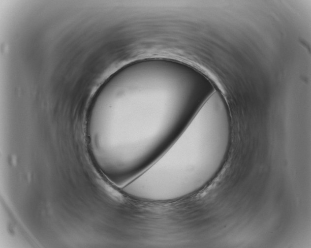 X0000099441525200805090737