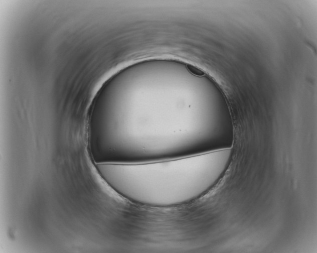X0000099441526200805090737