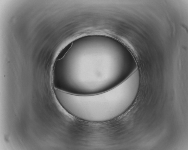 X0000099441528200805090737