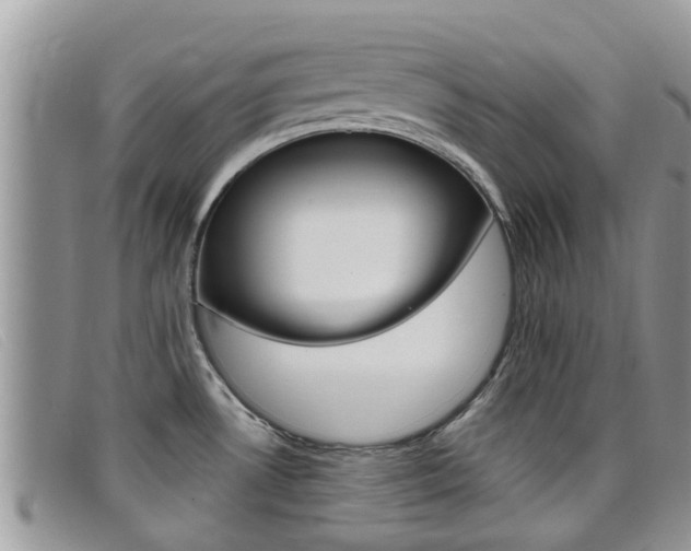 X0000099441530200805090737
