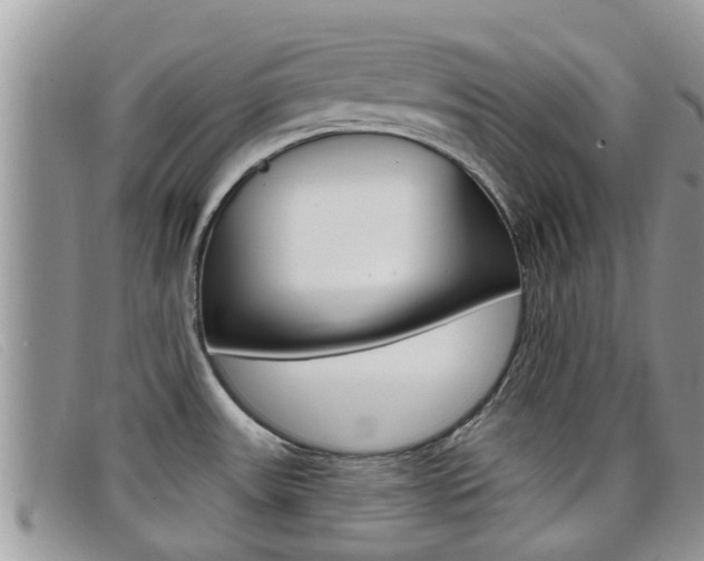 X0000099441531200805090737