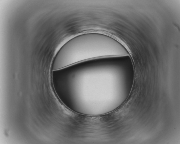 X0000099441533200805090737
