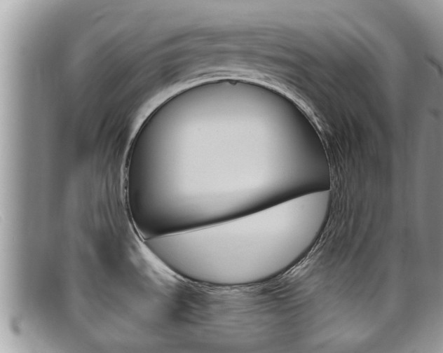 X0000099441535200805090737