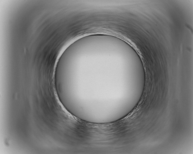 X0000099441536200805090737