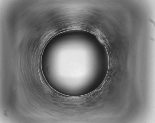X0000099440001200805091323