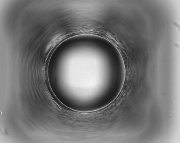 X0000099440002200805091323