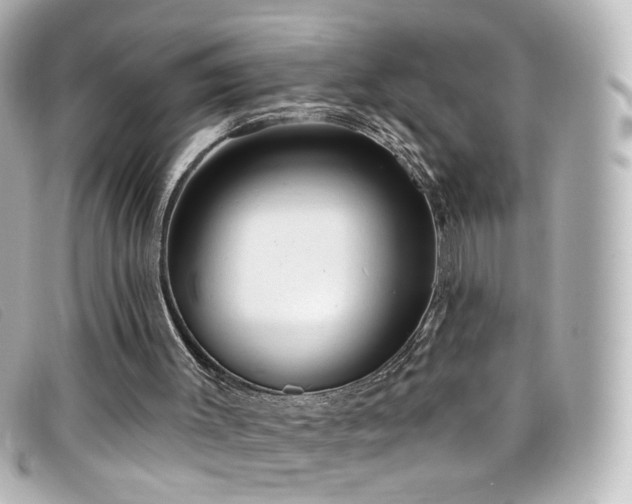 X0000099440003200805091323