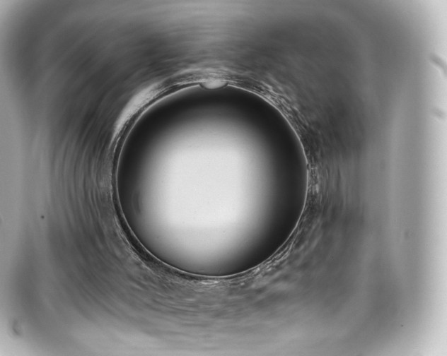 X0000099440004200805091323