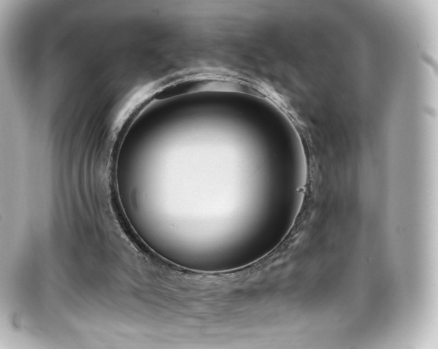X0000099440007200805091323