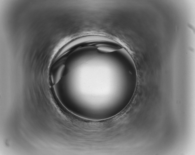 X0000099440008200805091323