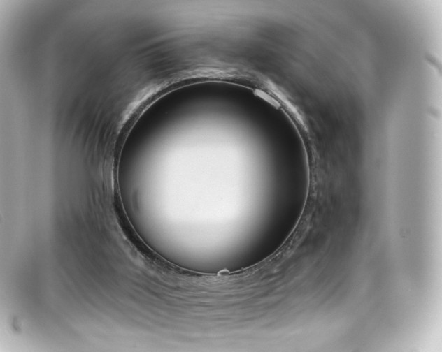 X0000099440011200805091323