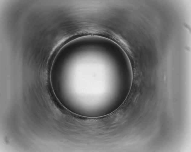 X0000099440012200805091323