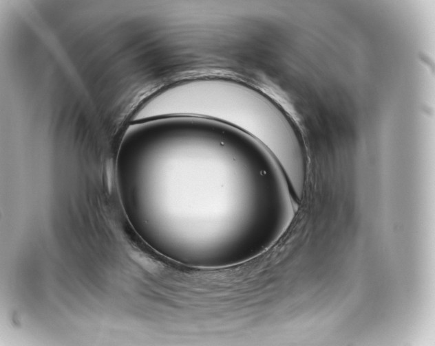 X0000099440013200805091323