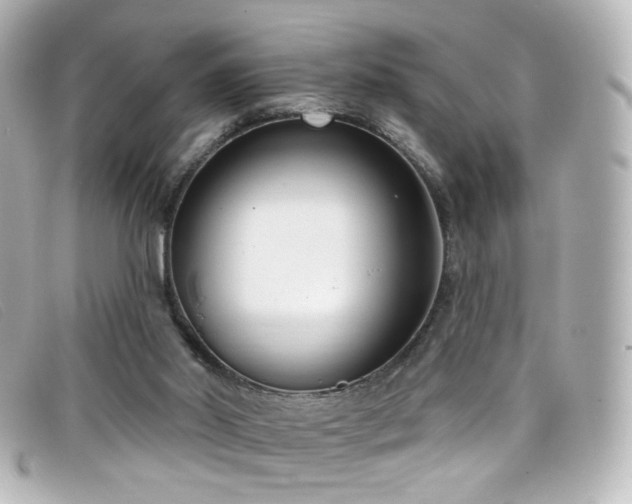 X0000099440014200805091323