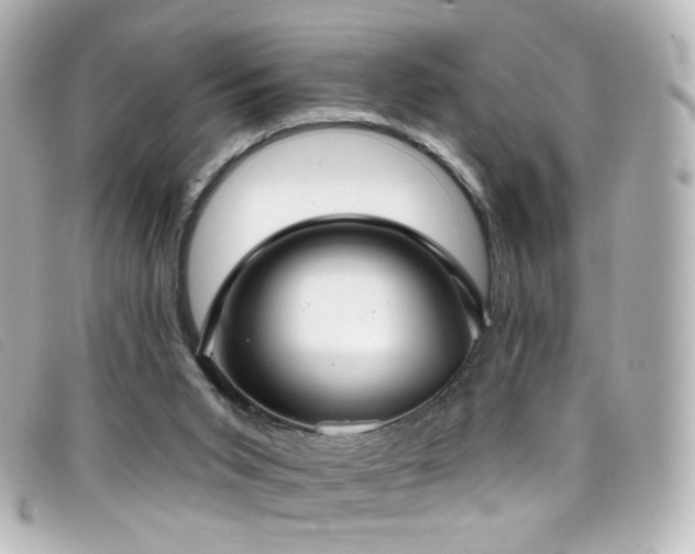 X0000099440015200805091323