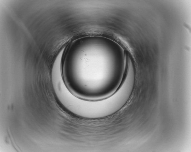 X0000099440017200805091323